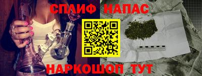 дмт Канаш