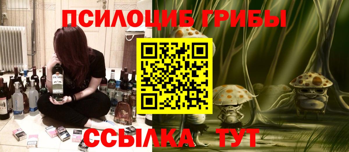 Красный Сулин  Галлюциногенные грибы Psilocybine cubensis  Вход с VPN  Псилоцибиновые грибы Psilocybine cubensis 
